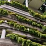 que-es-la-arquitectura-biofilica-y-como-se-aplica-en-el-diseno-de-edificios