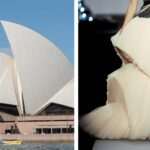 la-arquitectura-y-su-relacion-con-la-moda-y-el-diseno