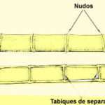como-reforzar-los-cimientos-de-una-casa-ya-construida