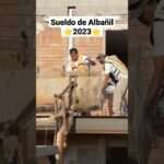 cuanto-gana-un-albanil-mensualmente-en-espana