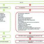 que-es-una-demolicion-y-para-que-sirve-en-la-construccion