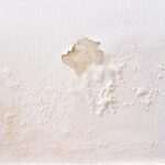 mi-pared-es-de-yeso-o-yeso